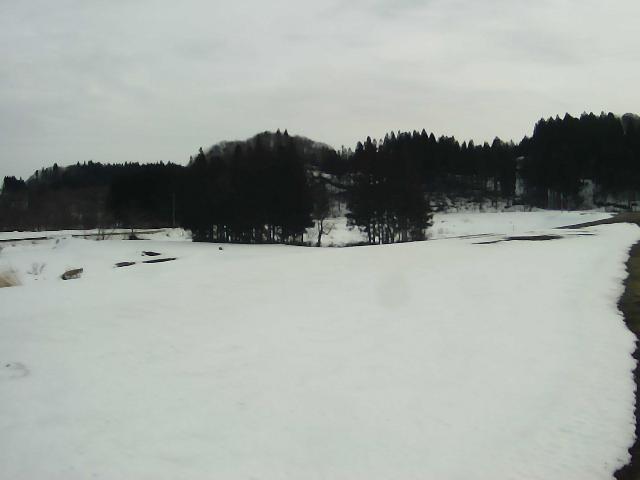 雄物川 大沢川合流点付近 36.4k左岸のライブカメラ|秋田県大仙市のサムネイル