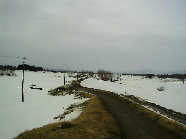 雄物川 大川橋付近 71.0k左岸のライブカメラ|秋田県大仙市のサムネイル