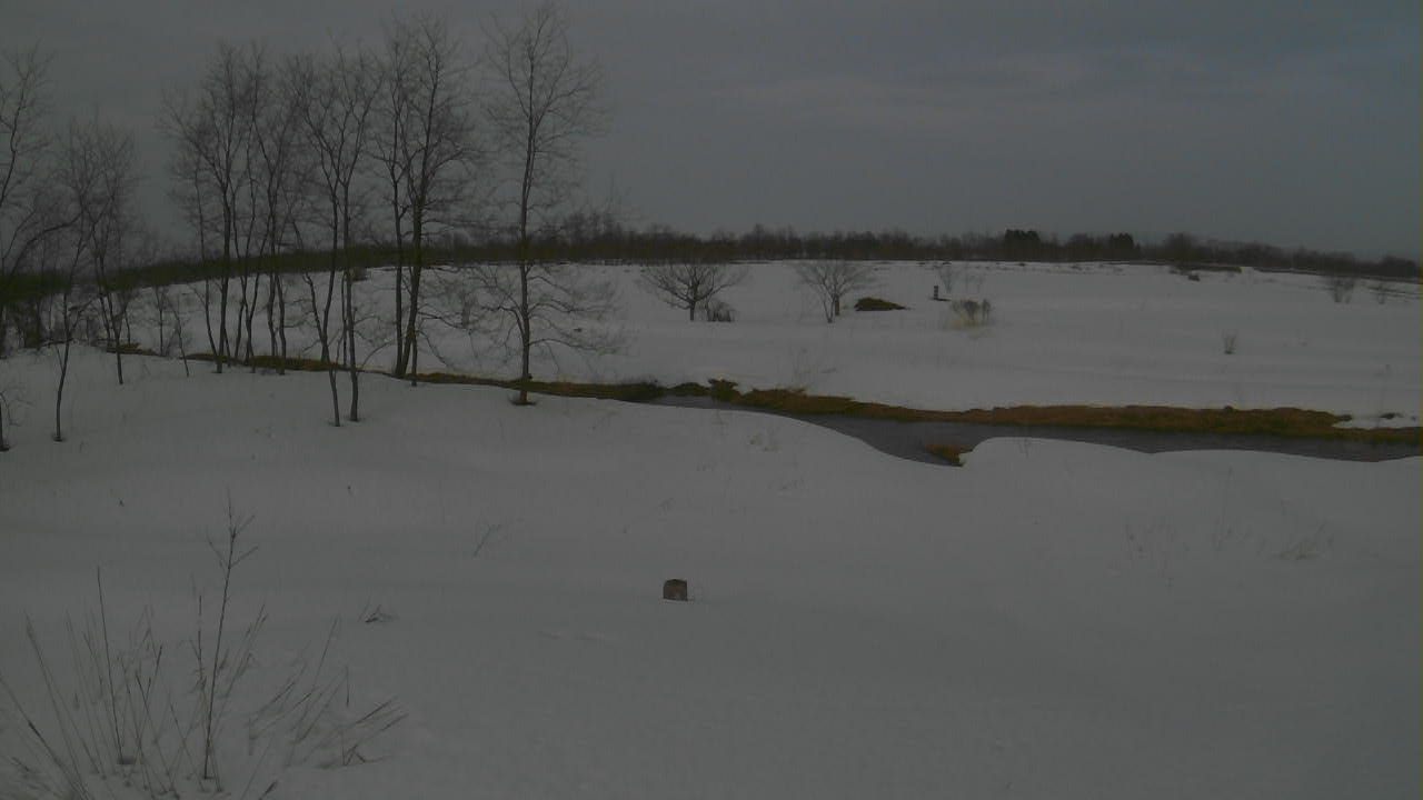雄物川 白子川合流点付近 94.6k右岸のライブカメラ|秋田県湯沢市のサムネイル