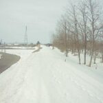 雄物川 柳田橋付近 97.8k左岸のライブカメラ|秋田県羽後町のサムネイル