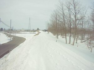 秋田県羽後町 雄物川 柳田橋付近 97.8k左岸のライブカメラ