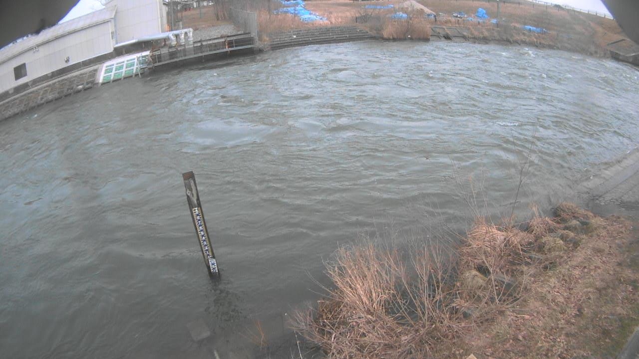 雄物川 9.2k左岸のライブカメラ|秋田県秋田市のサムネイル