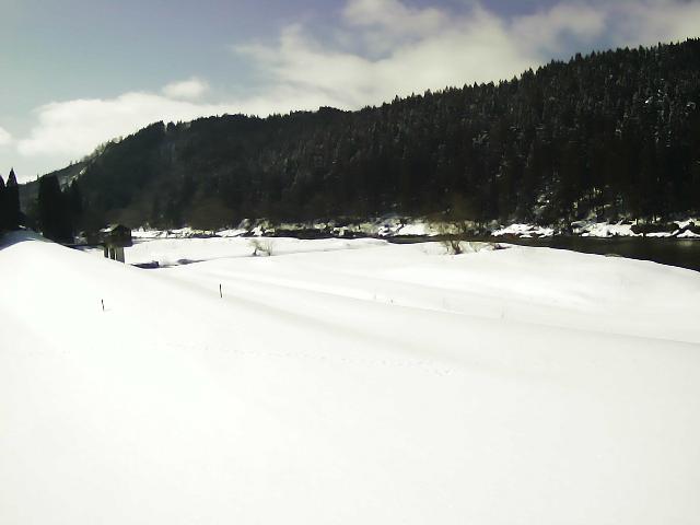 鮭川 庭月 13.4k左岸のライブカメラ|山形県鮭川村のサムネイル