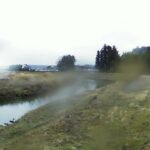 竹林川 2.8k右岸のライブカメラ|宮城県富谷市のサムネイル