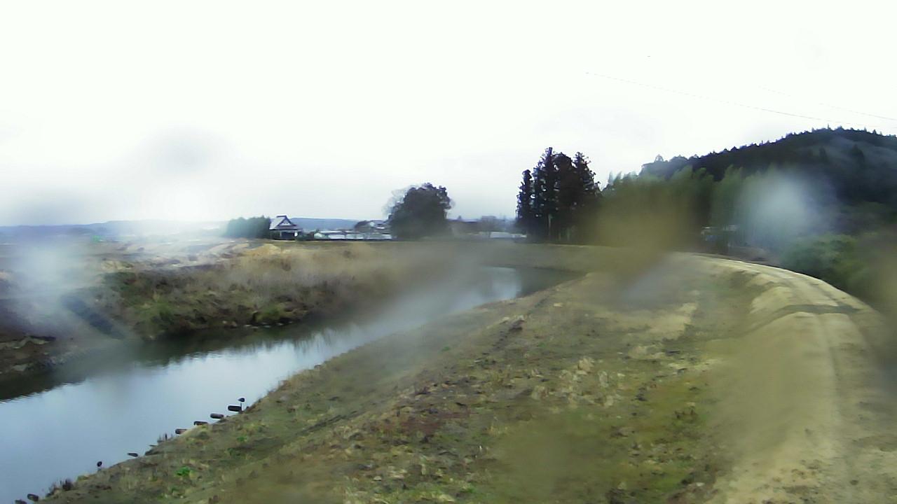 竹林川 2.8k右岸のライブカメラ|宮城県富谷市のサムネイル