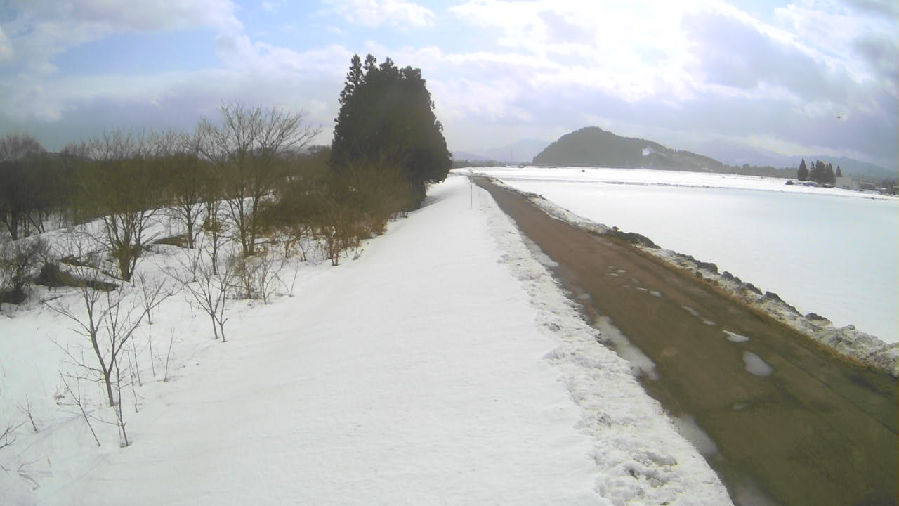 米代川 大館市二井田 65.8k左岸のライブカメラ|秋田県大館市のサムネイル