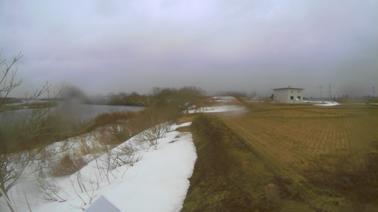 米代川 能代市荷八田 8.2k右岸のライブカメラ|秋田県能代市のサムネイル