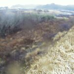 吉田川 21.0k左岸のライブカメラ|宮城県大郷町のサムネイル