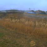 吉田川 30.3k左岸のライブカメラ|宮城県大和町のサムネイル