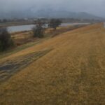 筑後川 57k690新田川樋管のライブカメラ|福岡県うきは市のサムネイル