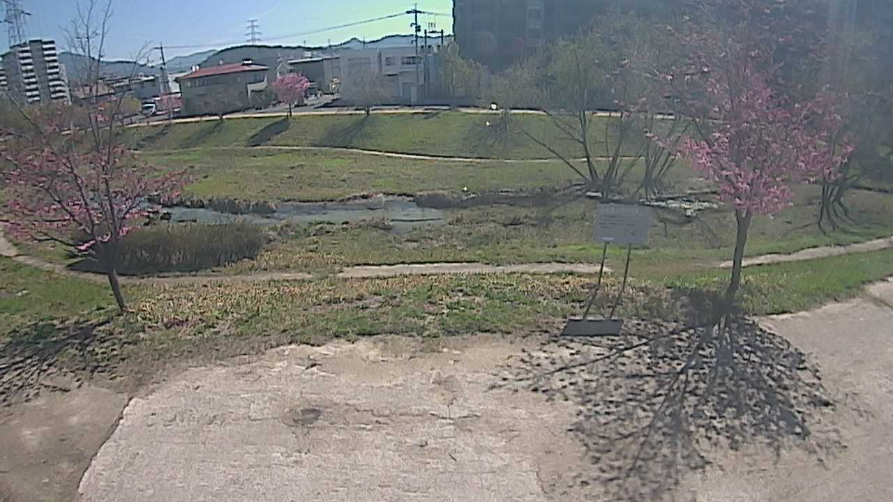 古川 右岸 4.8kmのライブカメラ|広島県広島市のサムネイル