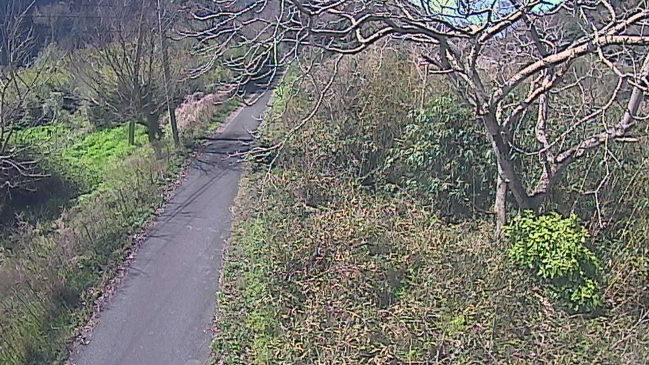 江の川 左岸 赤栗7.4kのライブカメラ|島根県江津市のサムネイル