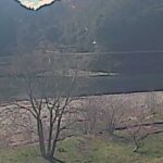 江の川 左岸 銅ヶ丸39.6kのライブカメラ|島根県美郷町のサムネイル