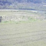 江の川 左岸 都賀行67.8kのライブカメラ|島根県美郷町のサムネイル