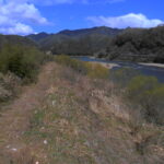 江の川 左岸 都賀行68.8kのライブカメラ|島根県美郷町のサムネイル