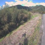 江の川 左岸 簗瀬44.6kのライブカメラ|島根県美郷町のサムネイル