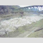 江の川 右岸 伊賀和志106.3kのライブカメラ|広島県三次市のサムネイル