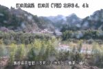 江の川 右岸 上三島第２排水樋門34.4kmのライブカメラ|島根県川本町のサムネイル