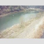 江の川 右岸 門田 上124.6kのライブカメラ|広島県三次市のサムネイル