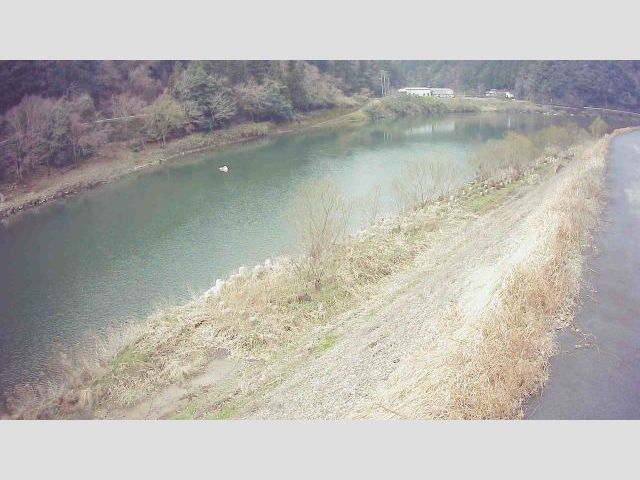 江の川 右岸 門田 上124.6kのライブカメラ|広島県三次市のサムネイル