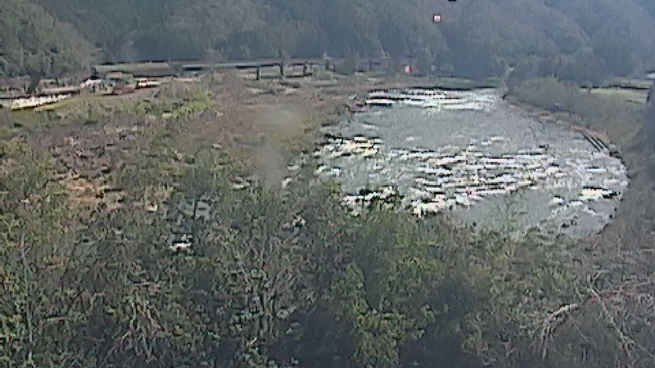 江の川 右岸 長藤響谷71.4kのライブカメラ|島根県美郷町のサムネイル