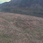 江の川 右岸 中ノ村141.8kのライブカメラ|広島県三次市のサムネイル