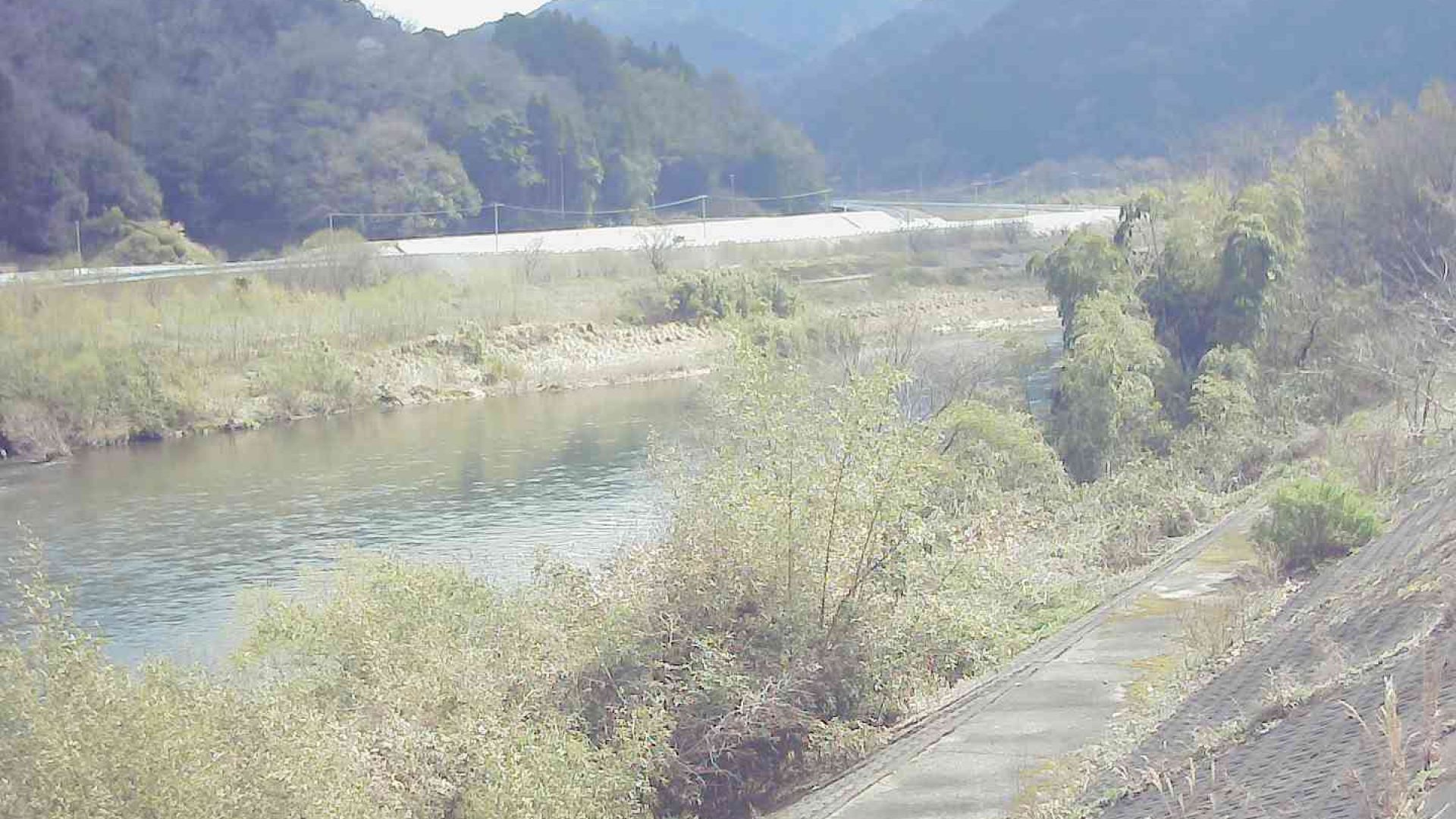 江の川 右岸 尾原29.4kのライブカメラ|島根県江津市のサムネイル