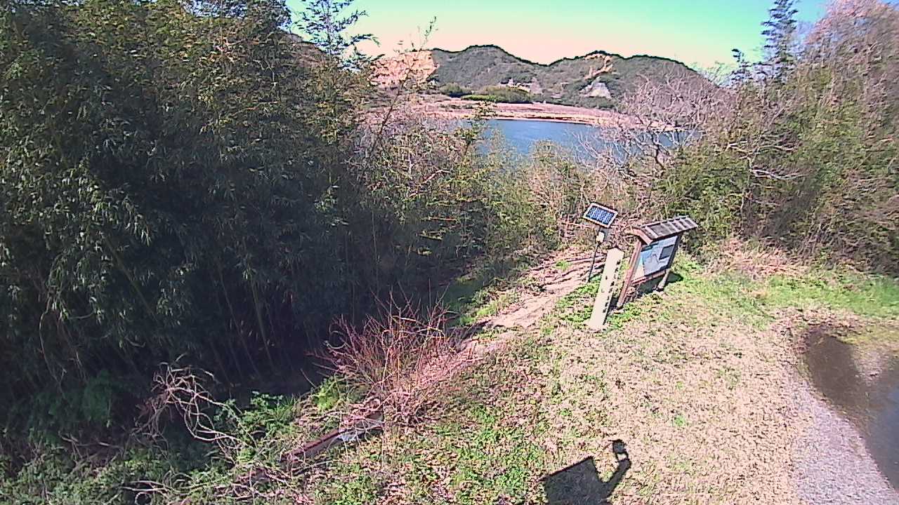 江の川 右岸 八神5.2kのライブカメラ|島根県江津市のサムネイル