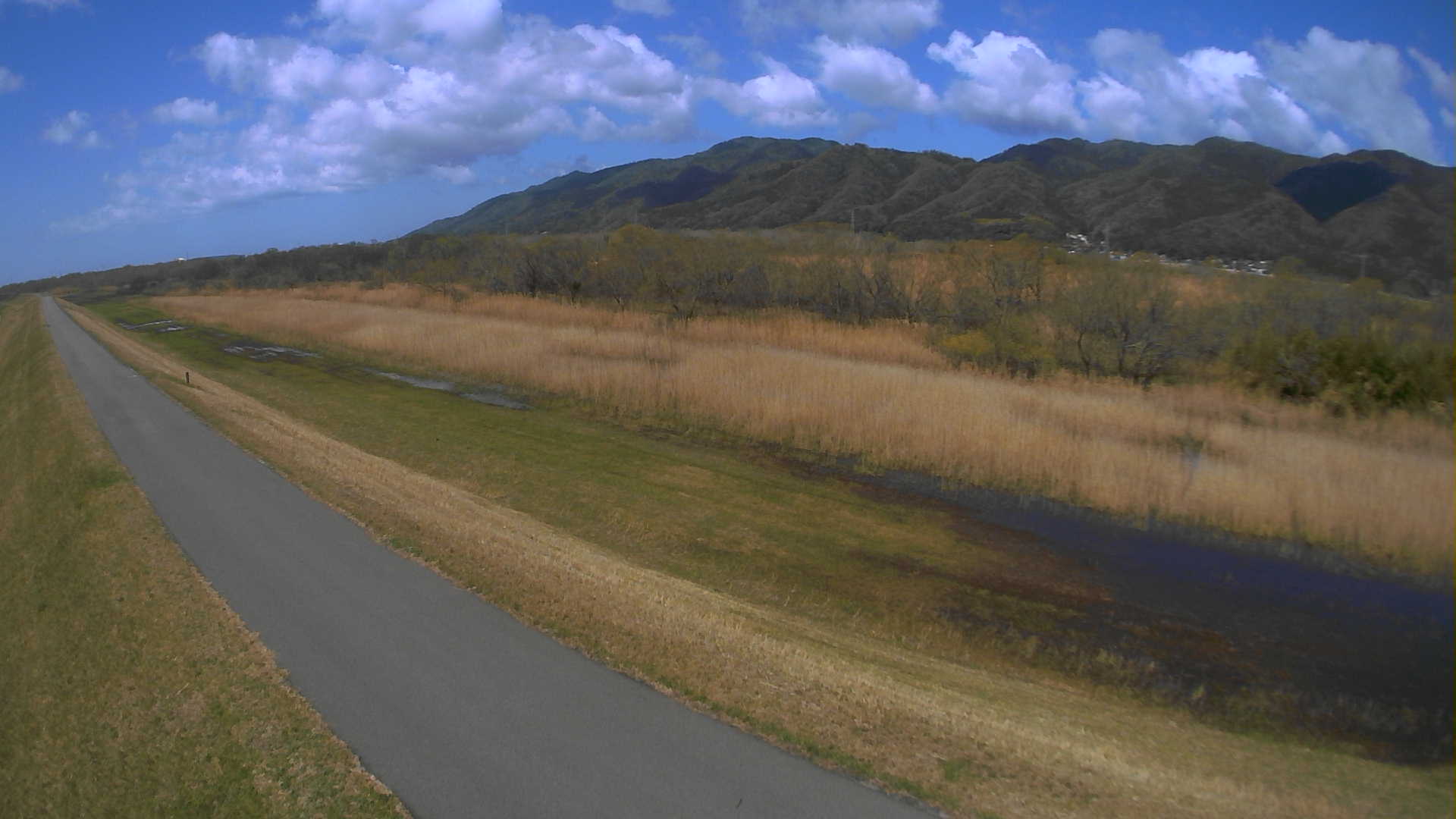 斐伊川 右岸 8k800のライブカメラ|島根県出雲市のサムネイル