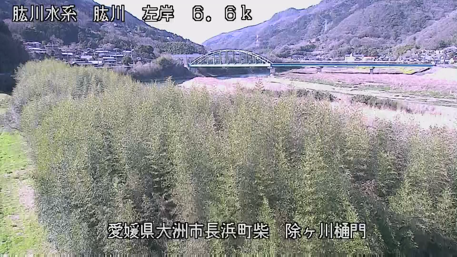 肱川 左岸6.6k 除川樋門のライブカメラ|愛媛県大洲市のサムネイル
