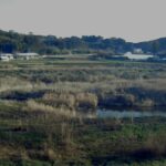 本庄川 12k400東諸県郡綾町南俣のライブカメラ|宮崎県綾町のサムネイル