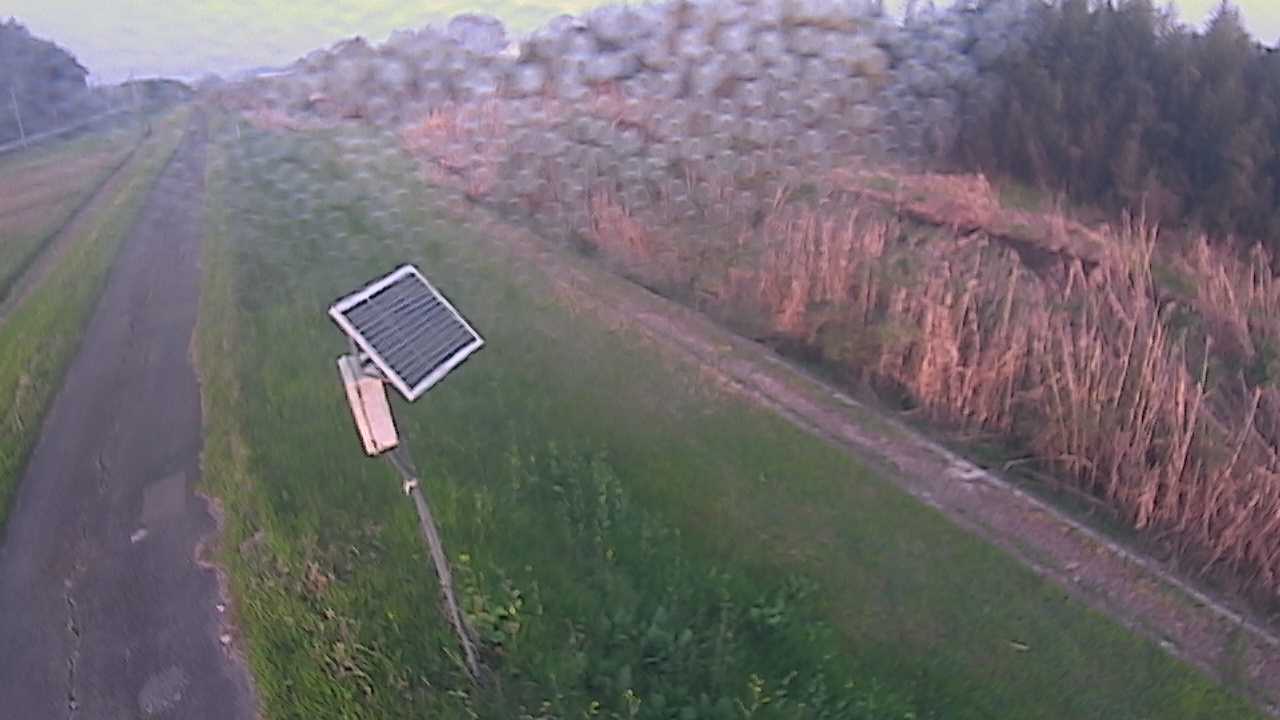 法勝寺川 左岸 福成5k800のライブカメラ|鳥取県南部町のサムネイル