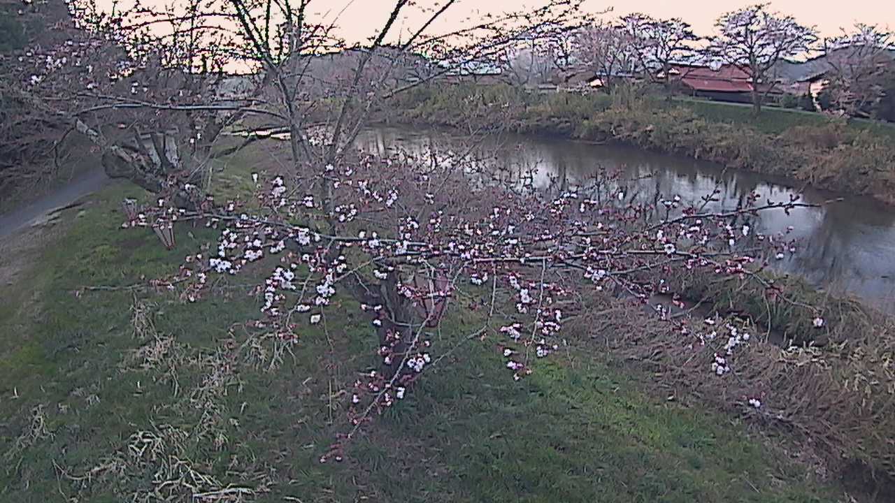 法勝寺川 左岸 城山10k540のライブカメラ|鳥取県南部町のサムネイル