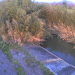 法勝寺川 左岸 境4k800のライブカメラ|鳥取県南部町のサムネイル