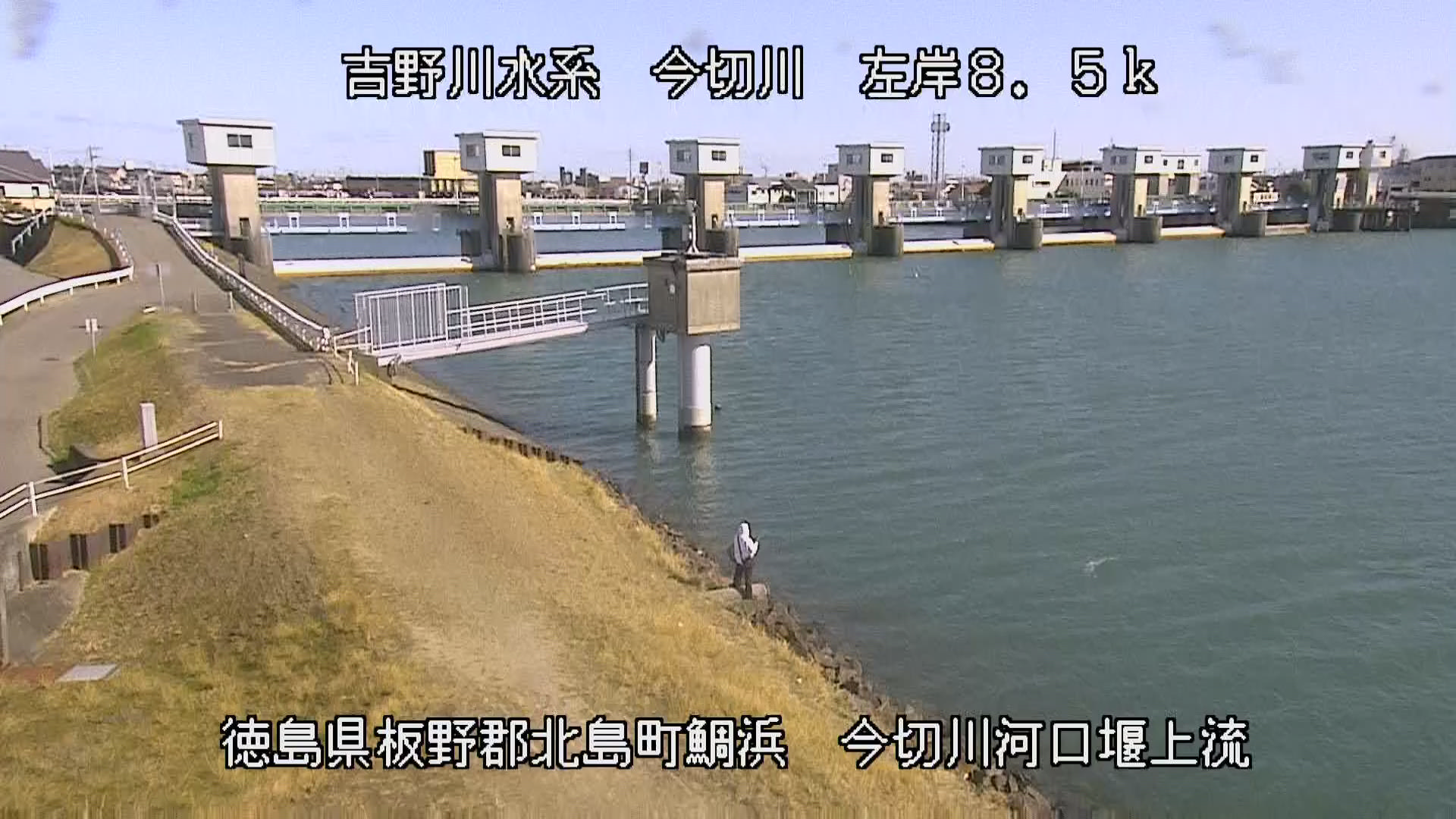 今切川 左岸8k5北島町 今切川河口堰上流のライブカメラ|徳島県北島町のサムネイル