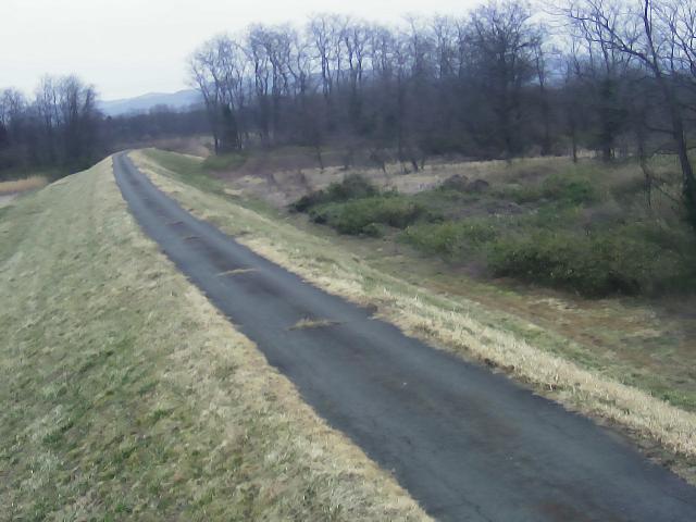 胆沢川 0.4km左岸のライブカメラ|岩手県金ケ崎町のサムネイル