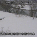 岩木川 板柳岡本 44.0k右岸のライブカメラ|青森県板柳町のサムネイル