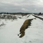 岩木川 藤崎 44.4k左岸のライブカメラ|青森県弘前市のサムネイル