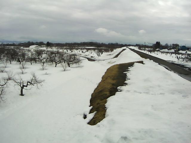 岩木川 藤崎 44.4k左岸のライブカメラ|青森県弘前市のサムネイル