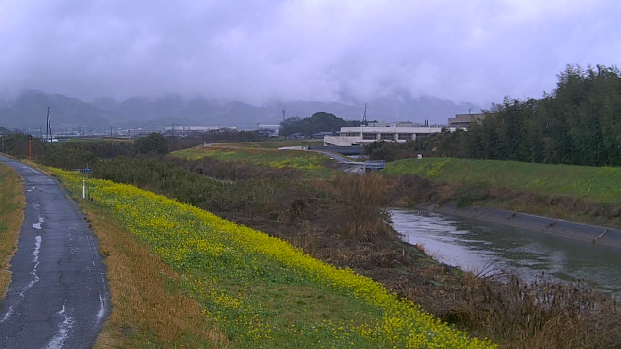 城原川 8k540ふるさと大橋のライブカメラ|佐賀県神埼市のサムネイル