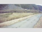 神野瀬川 右岸 日下0.4kのライブカメラ|広島県三次市のサムネイル
