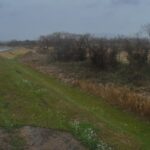 菊池川 右岸3k200大浜橋のライブカメラ|熊本県玉名市のサムネイル