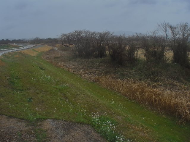 菊池川 右岸3k200大浜橋のライブカメラ|熊本県玉名市のサムネイル
