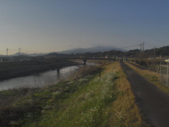 肝属川 左岸14k2大正橋下流のライブカメラ|鹿児島県鹿屋市のサムネイル