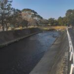 肝属川 左岸19k2鹿屋小前のライブカメラ|鹿児島県鹿屋市のサムネイル