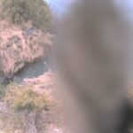 北上川 上流 39.3km左岸のライブカメラ|岩手県奥州市のサムネイル