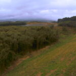 球磨川 右岸69k300十日市樋管のライブカメラ|熊本県錦町のサムネイル