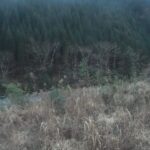 久留須川 左岸2k600長崎樋管のライブカメラ|大分県佐伯市のサムネイル