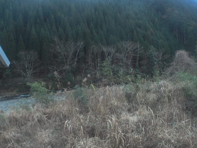 久留須川 左岸2k600長崎樋管のライブカメラ|大分県佐伯市のサムネイル