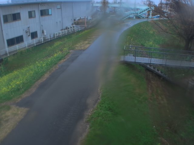 緑川 野田右岸7k800のライブカメラ|熊本県熊本市のサムネイル